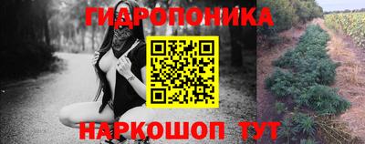 ALPHA PVP Кунгур